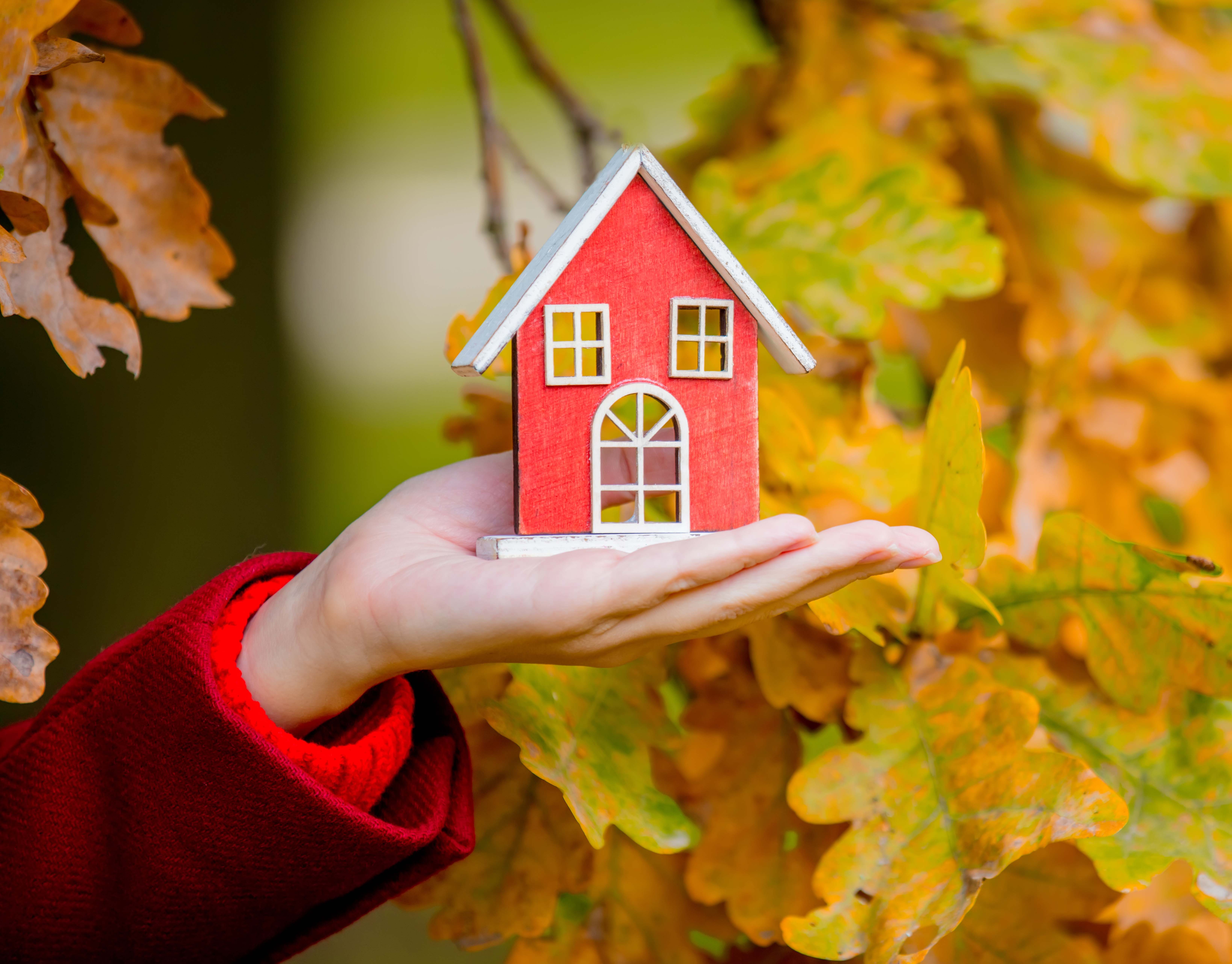 Decorate house in autumn How to decorate your home in autumn